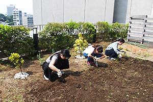 庭園奥には初秋を飾る花の種を撒きました（何の花が咲くかお楽しみにしましょう）