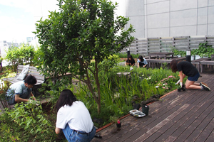 メンバーがお気に入りの花の種と苗を黙々と植えています