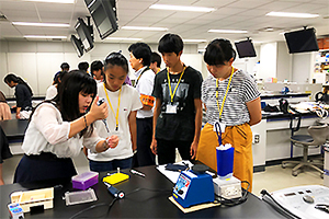【C-1　コース】　生命科学部　佐藤　勉　教授　 PCR法で増幅したDNA断片をアガロースゲル電気泳動で分離する実験をおこないました
