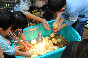 毎年恒例の「どうぶつえん企画」は今年も地域の子どもたちに大人気