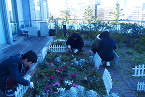 華麗な花姿が待ち遠しい「ロザリン」