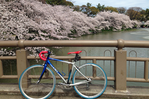 通勤にも使用している愛車のロードバイク