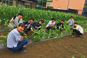 作業の雰囲気は、いつも和気あいあい。 この日はトウモロコシの成長を祈りながら、雑草をみんなで除去