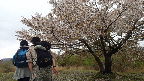 幕山の山頂を目指す