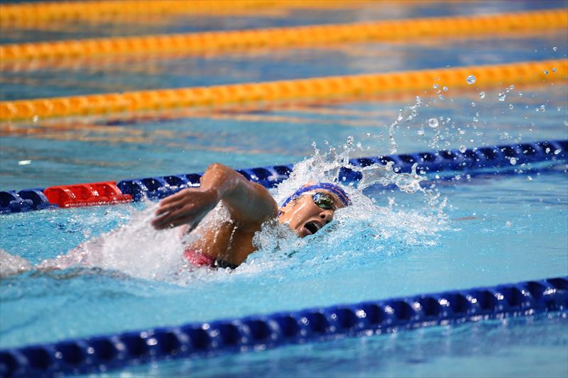 第95回日本学生選手権水泳競技大会の結果