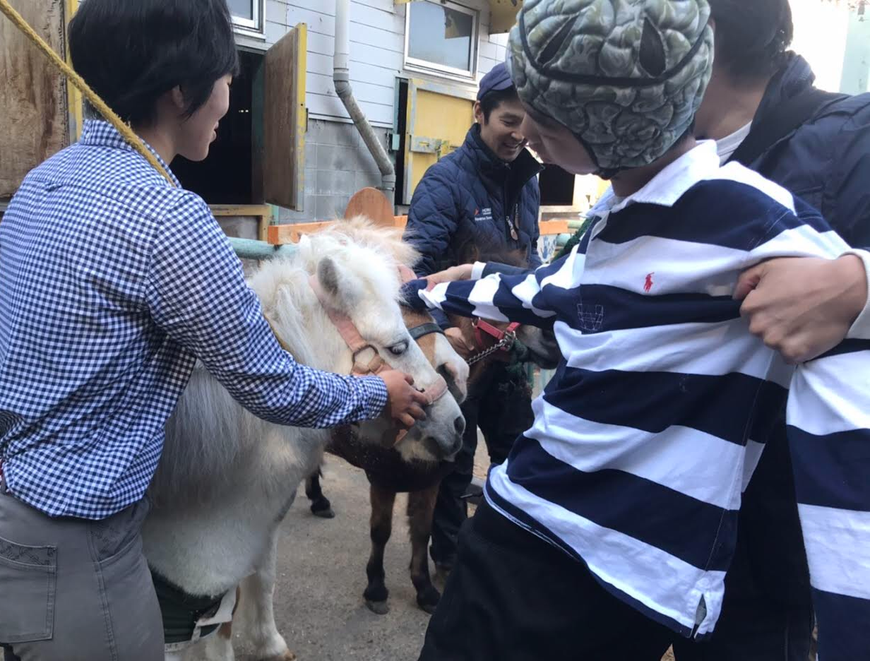 「ホースセラピー」馬との触れ合い会