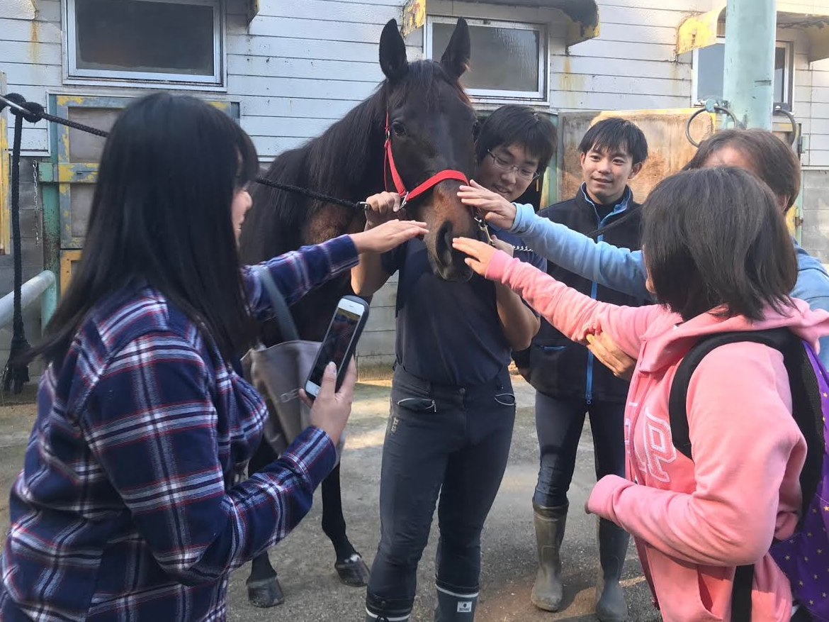 「ホースセラピー」馬との触れ合い会