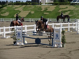 2017Fuji Horse Show Spring Festival ～Jumping Cmptition