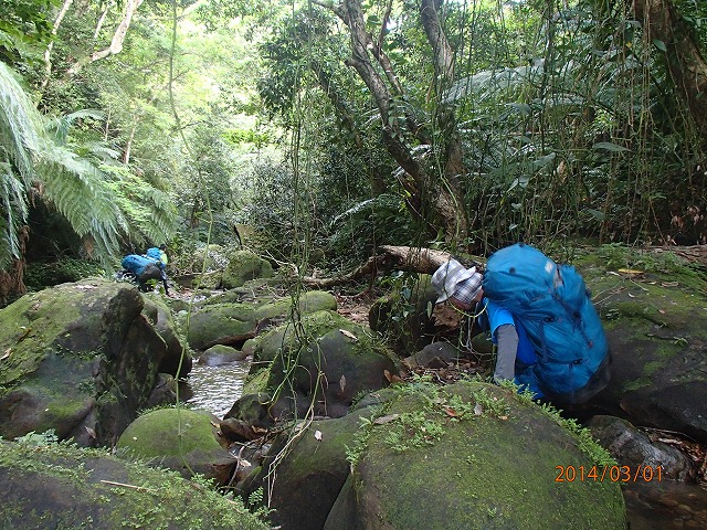 川を下り網取湾へ