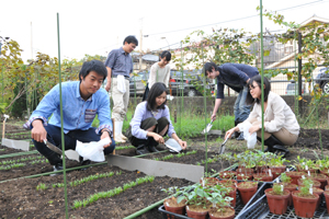 東館裏の畑で行っている土壌班の研究