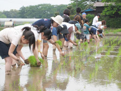 楽しく有意義だった田植え体験