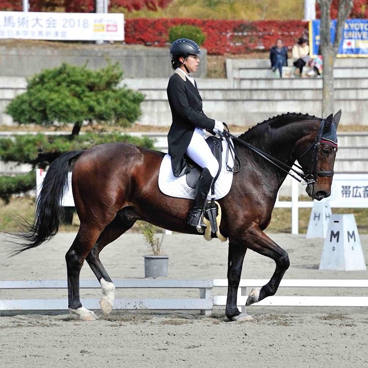 全日本学生馬術大会2018　大川空選手（文学部4年）が8位入賞