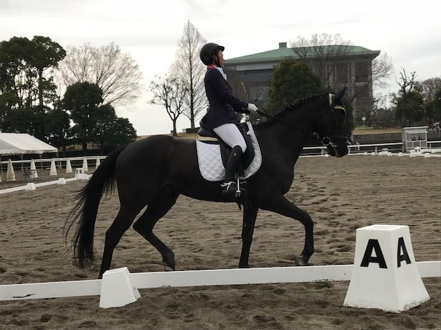 第71回東京六大学馬術競技大会