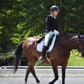 平成30年度関東学生馬術競技大会